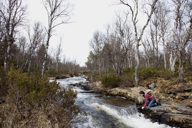Sandqvist Fall/Winter 2011: Person with backpack crouches beside a flowing forest stream.