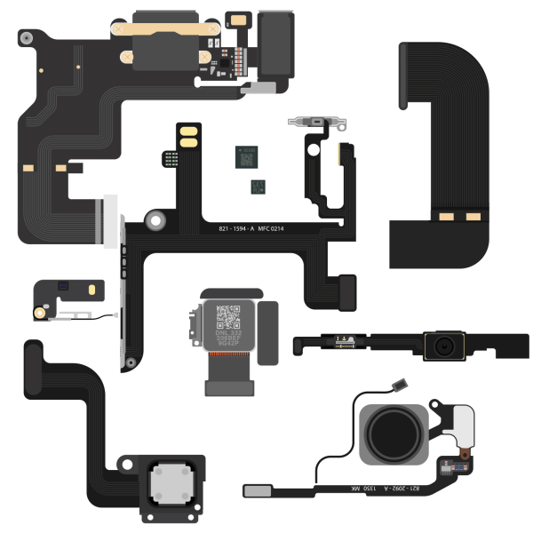 Animated vector layout of iPhone 5s flex cables, cameras, speaker, buttons and connector assemblies building across a white square canvas.
