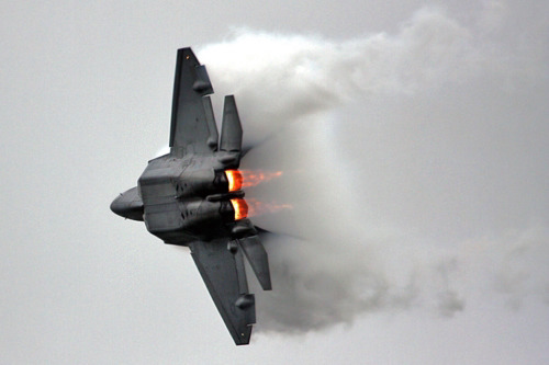 F-22A Raptor