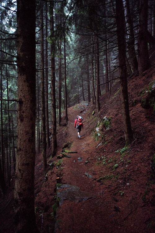 Hiking on a moutain trail