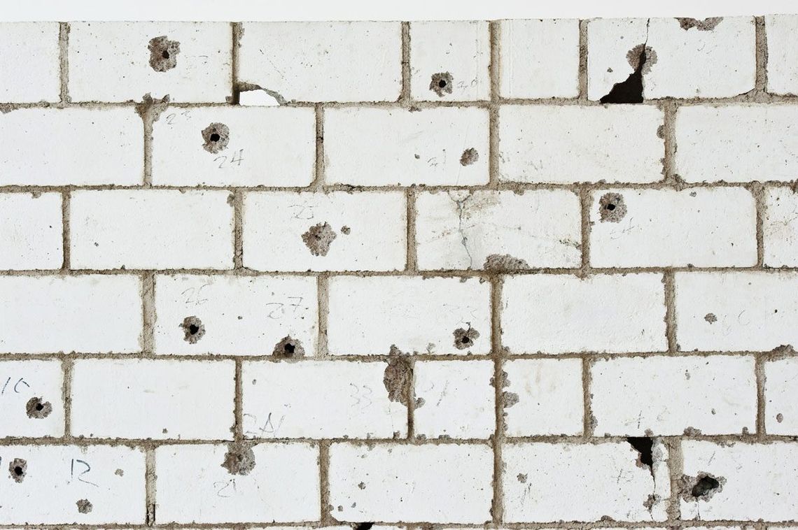 Teresa Margolles, Frontera, 2011