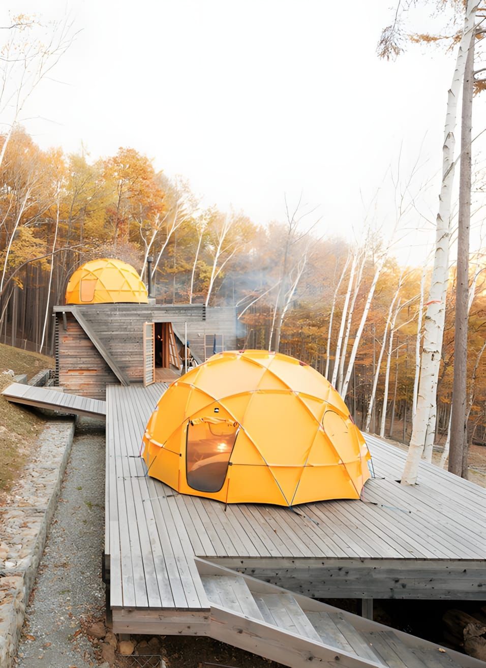 Two yellow geodesic dome tents on a tiered wooden deck in an autumn birch forest outside Tokyo.