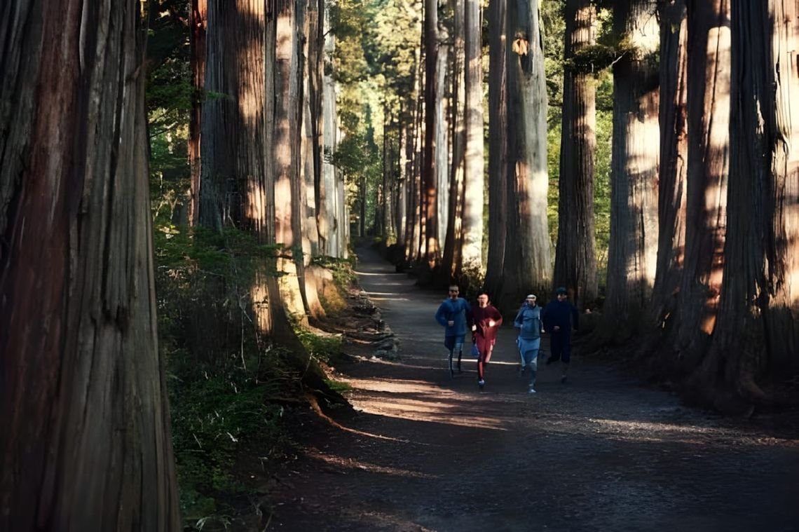 Nike Undercover GYAKUSOU FW2012 running apparel Togakushi cedar forest Nagano