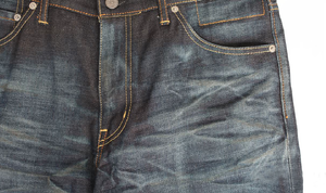 Visvim SOCIAL SCULPTURE 03