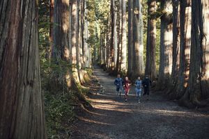 NIKE X UNDERCOVER GYAKUSOU FW2012