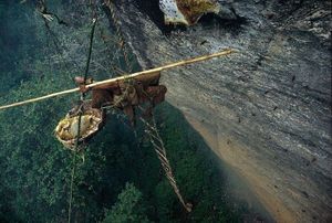 The Honey Hunters Of Nepal