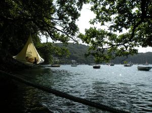 Cacoon Hanging Chair