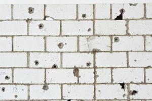 Teresa Margolles, Frontera, 2011