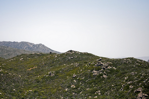 Southern California Mountain Landscape — San Diego Backcountry