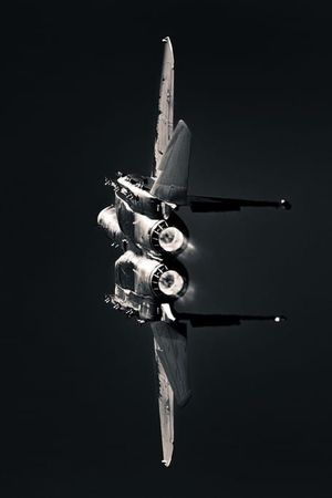 Grumman F-14 Tomcat — US Navy Carrier Fighter
