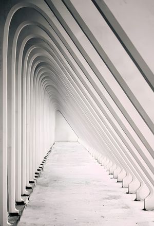 Liège-Guillemins Railway Station by Santiago Calatrava