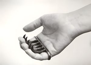 Bagh Nakh — Tiger Claw Weapon, India