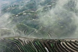 Longji Rice Terraces — Dragon's Backbone, Guilin