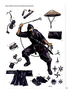 Ninja AD 1460–1650 — Stephen Turnbull and Wayne Reynolds
