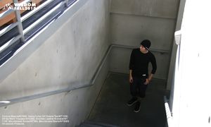 WISDOM Fall 2010 Lookbook