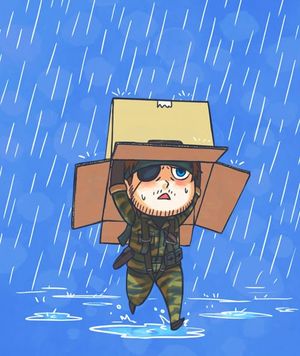 Big Boss with Cardboard Box in the Rain