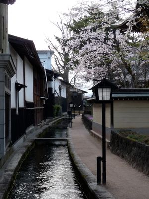 Hida-Furukawa (飛騨古川) — Dan