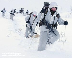 45 Commando Royal Marines in Norway