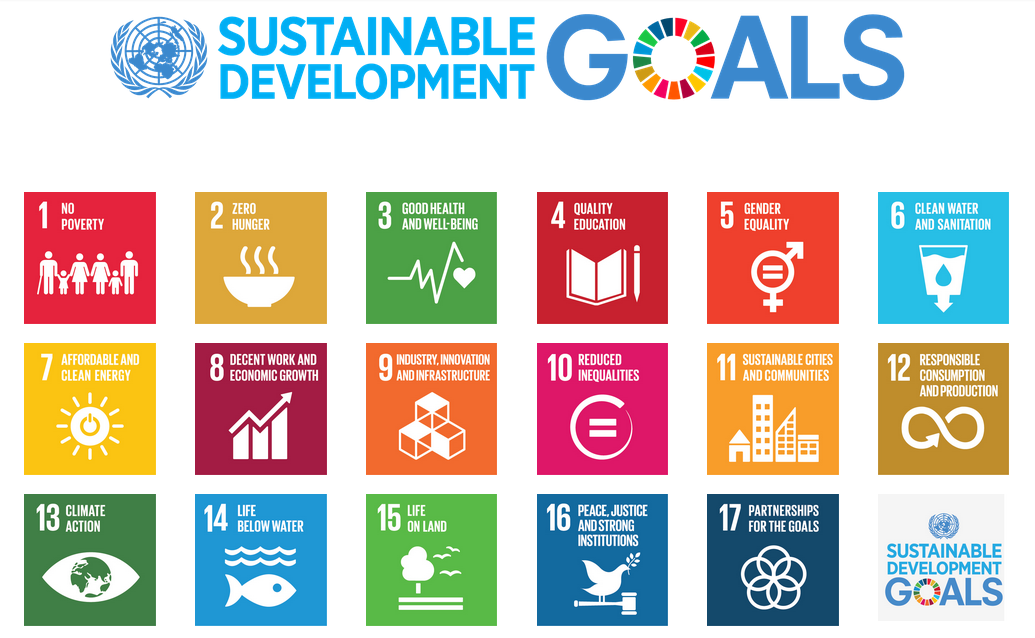 Can Mobile Phones Drive Forward the Sustainable Development Goals?