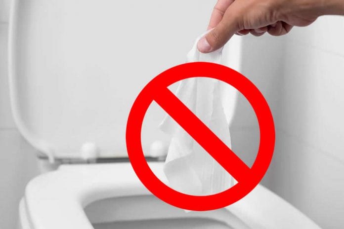 Feuchtes Toilettenpapier sollte nicht in die Toilette