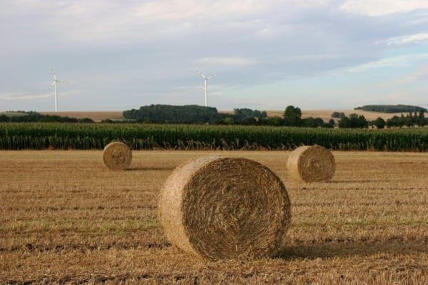 stroh-toilettenpapier. Ist es die Zukunft?