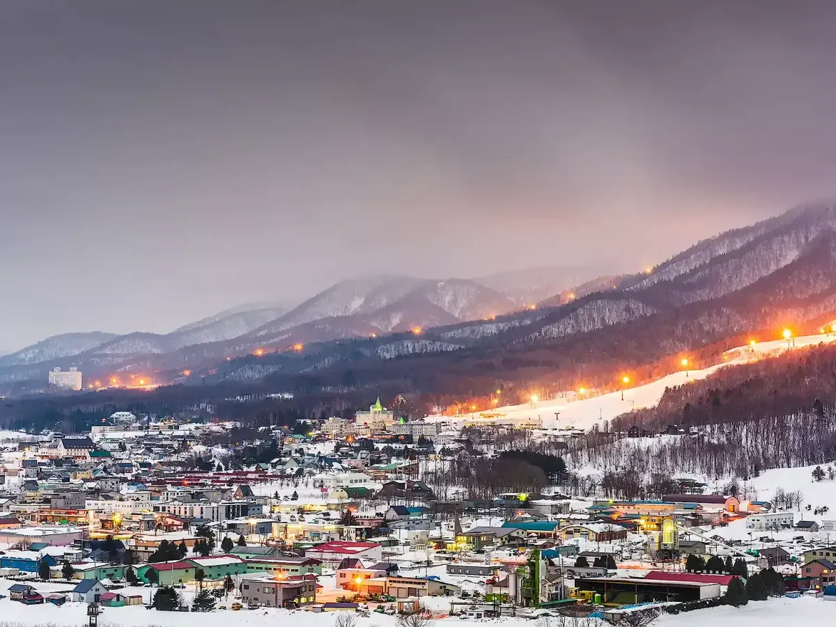 Furano Annual Market Report 2025