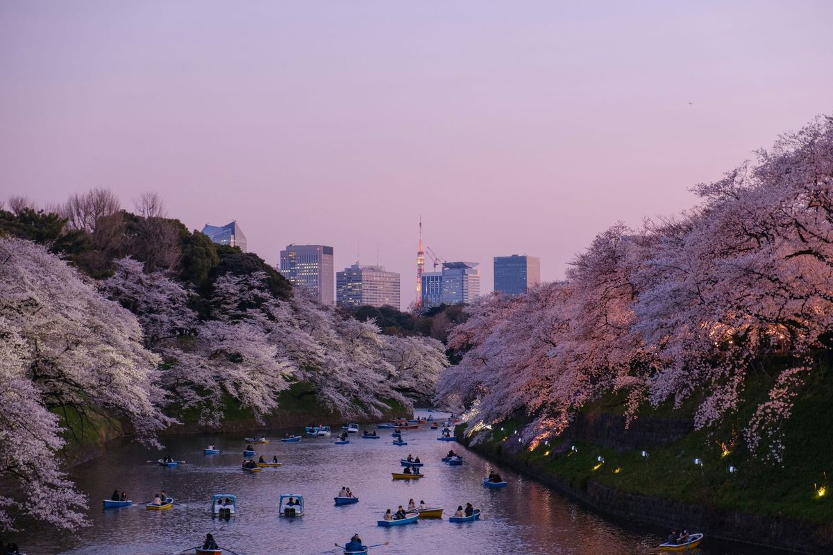 Greater Tokyo resale condo values are still rising—but leadership is narrowing