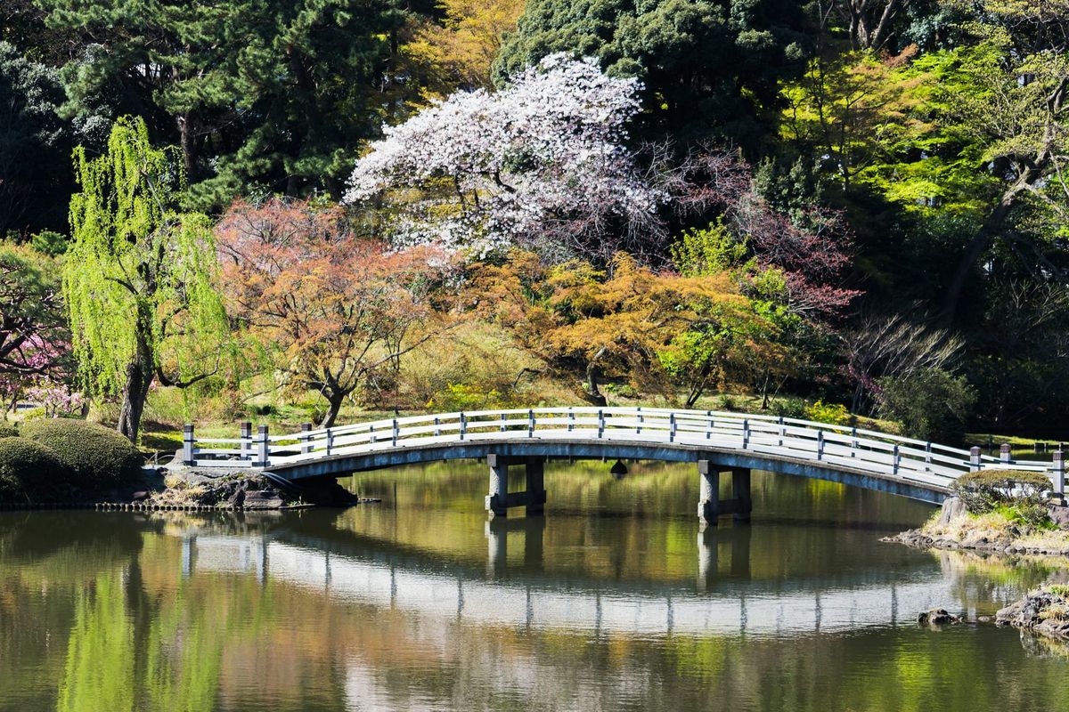 NOHGA’s Shinjuku Gyoen Plan Puts Space Ahead of Room Count