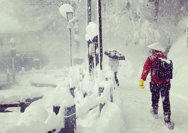 Nozawa Onsen: The Scarcity Market Hiding In Plain Sight