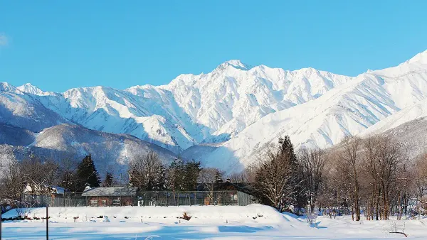 The Land Question: Has Hakuba Already Repriced?