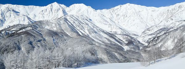 NSD’s Winter Figures Reveal Uneven Growth Across Its Japanese Resorts
