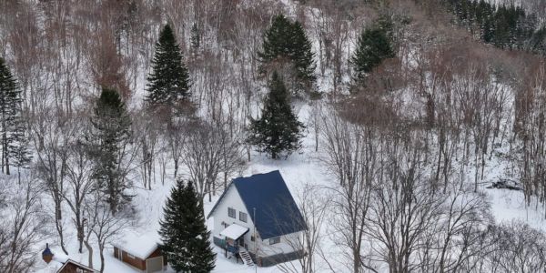 Niseko-Moiwa’s 2025 Property Market: More Choice, Fewer Sales