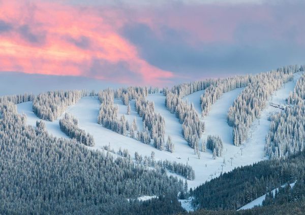Oasis Raises Vail Stake to 9.6% and Sets Out Its Resort Agenda