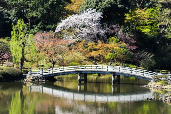 NOHGA’s Shinjuku Gyoen Plan Puts Space Ahead of Room Count