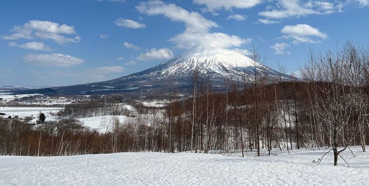 Niseko Land: The Small-Plot Premium and the Large-Parcel Bet