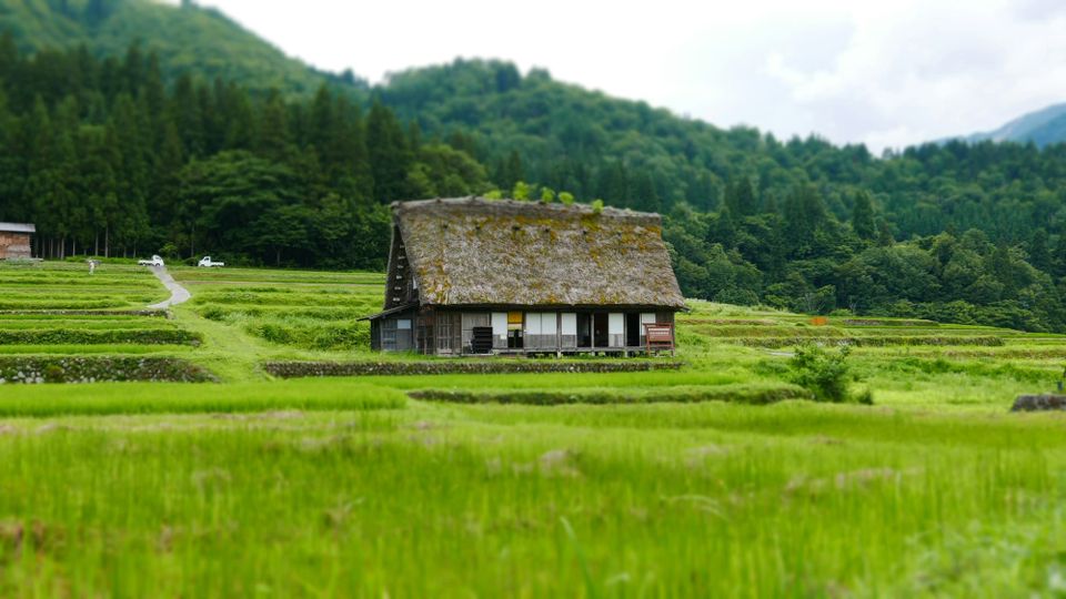 Japan’s Relocation Grants Reflect A Bigger Regional Challenge