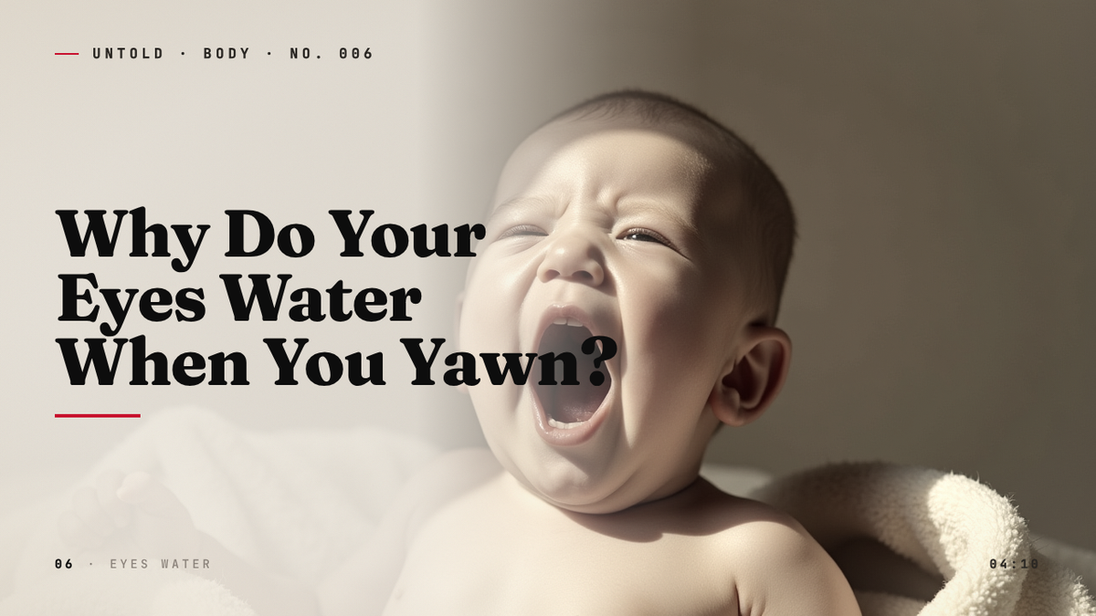 The Small Wet Sting at the End of Every Yawn