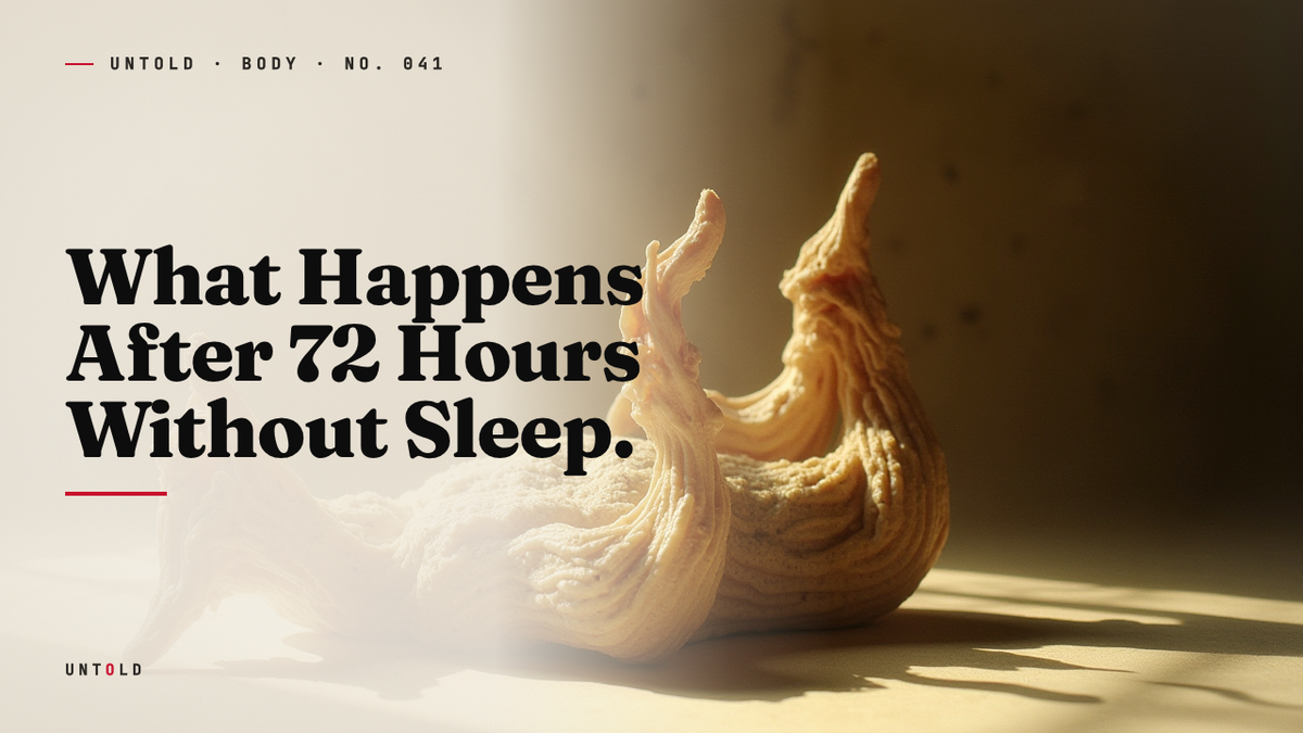 The Slow Unraveling: Three Days Without Sleep