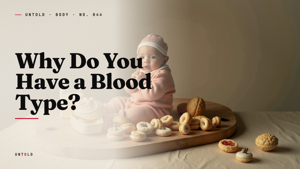 The Letters Hidden in Your Blood