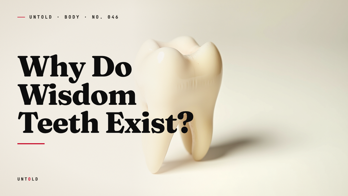 The Tooth Your Body Builds But Cannot Use