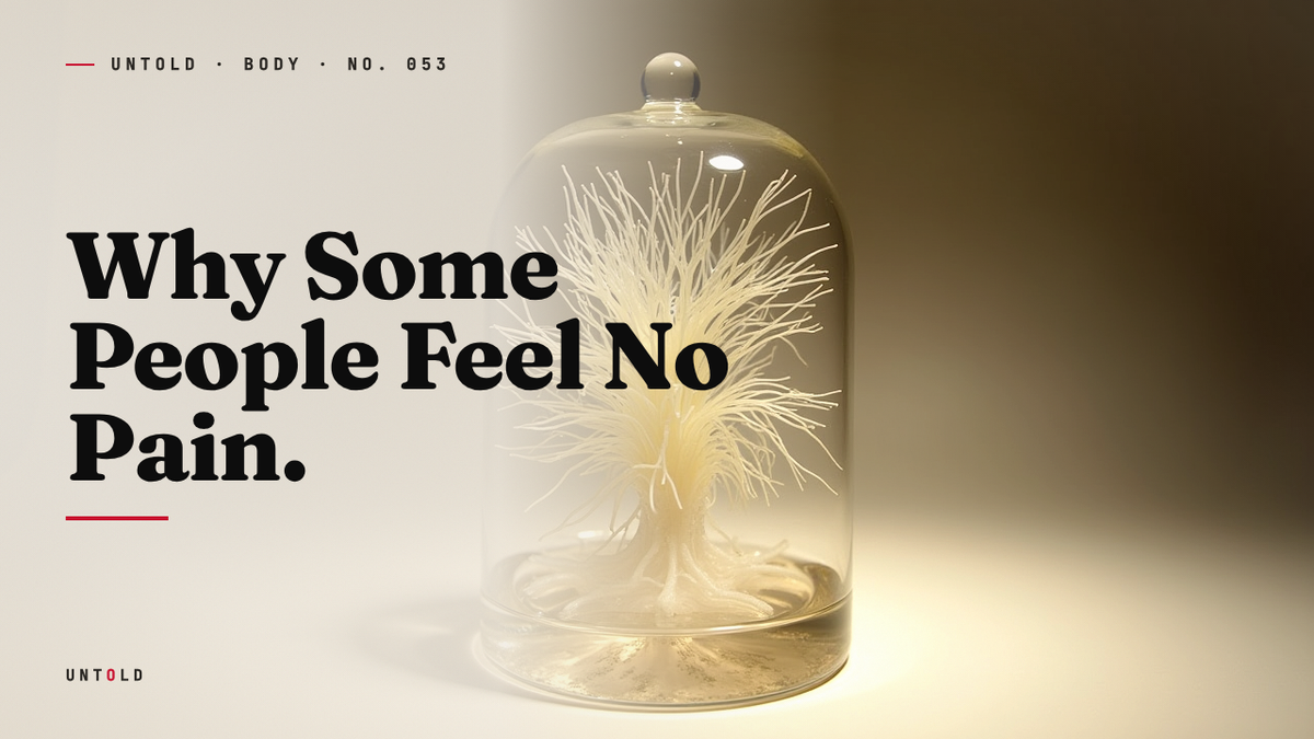 The Children Who Cannot Feel a Burn