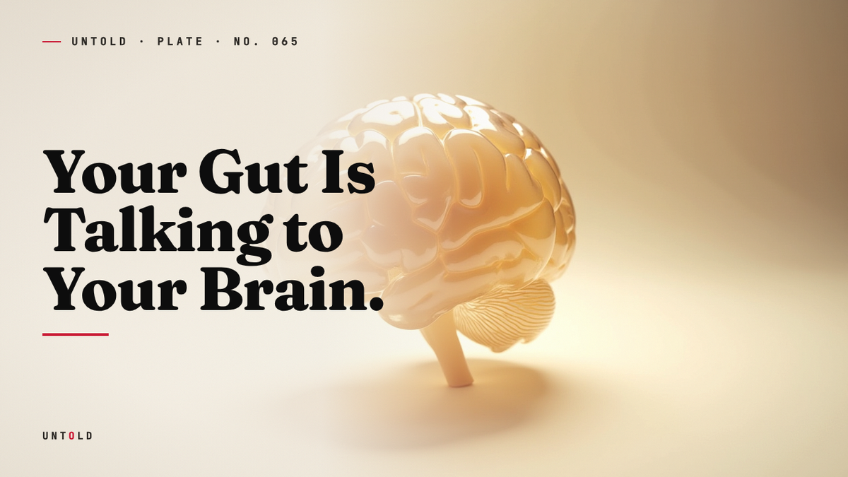 The Second Brain in Your Belly