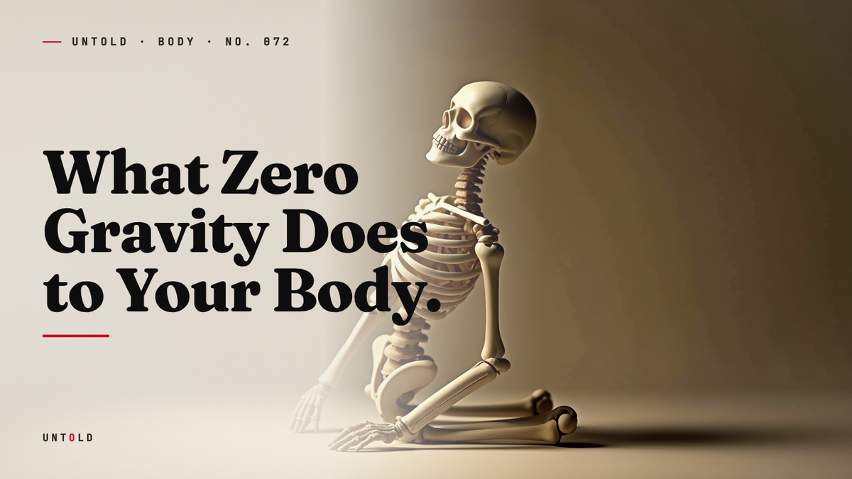 The Body Was Built for Weight