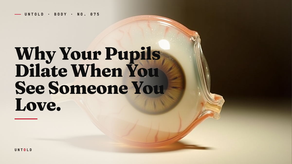 The Confession in the Black Center of the Eye