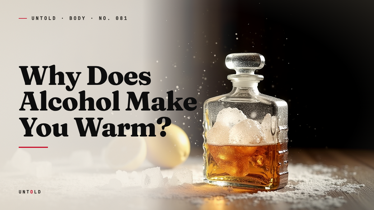The Warmest Lie the Body Ever Told