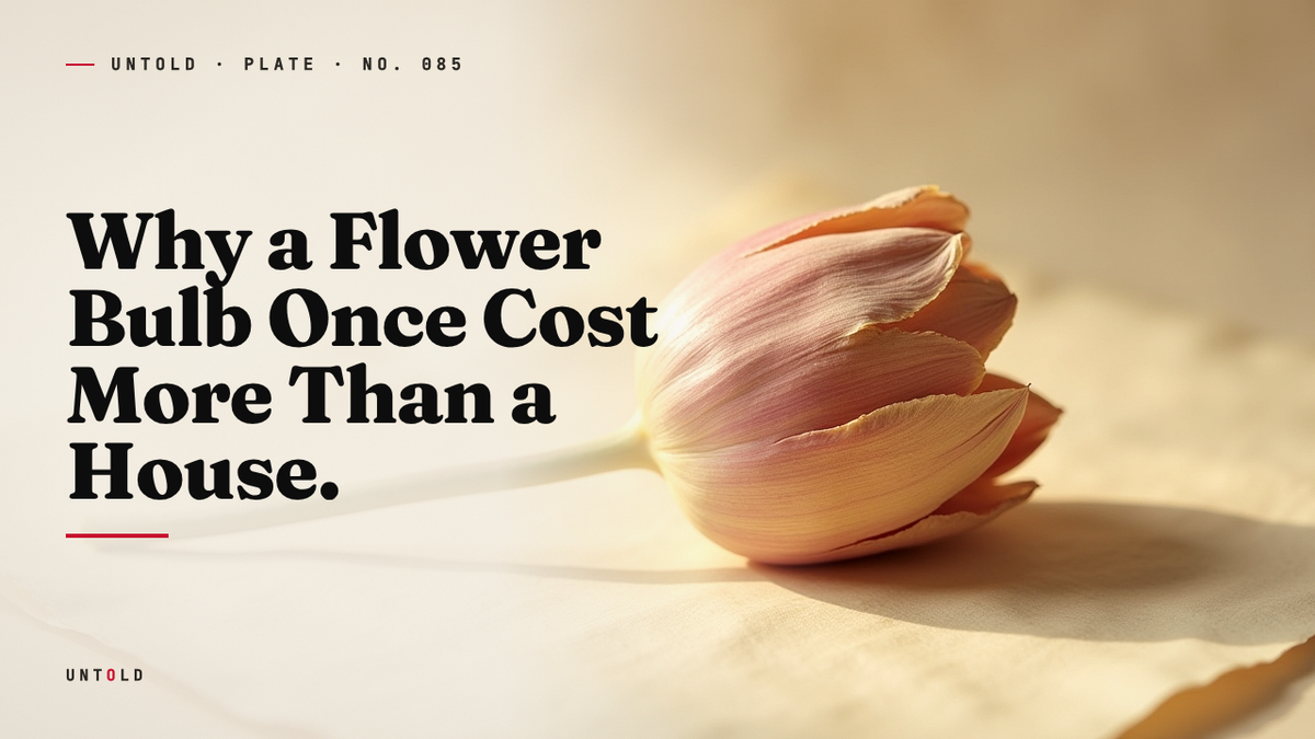 The Winter a Flower Was Worth More Than a Mansion