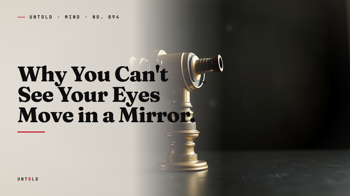 The Half-Second Your Brain Refuses to Show You