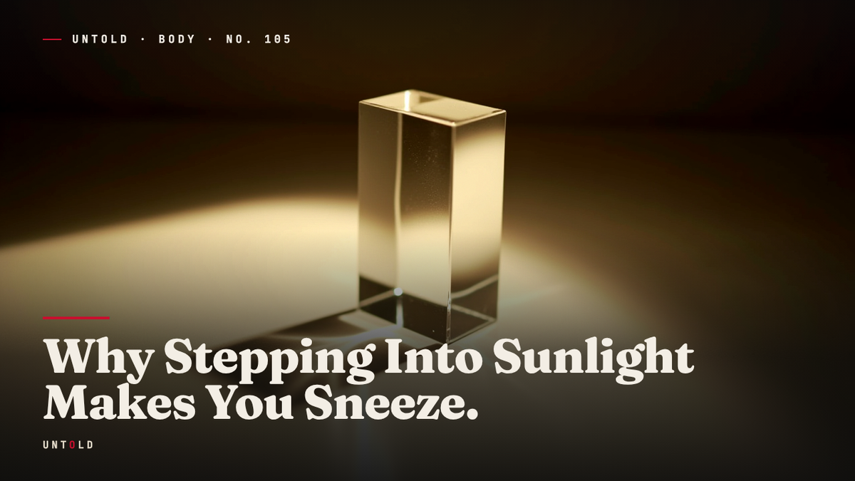 The Sneeze That Begins Behind Your Eyes