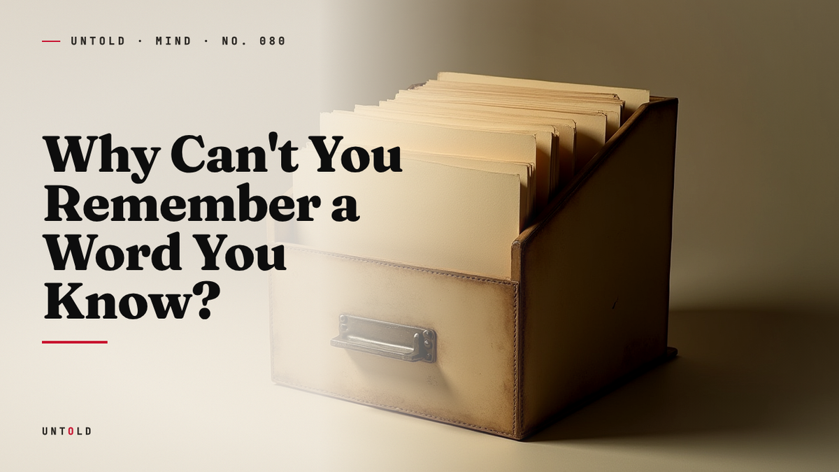 The Word That Waits: Inside the Tip-of-the-Tongue State