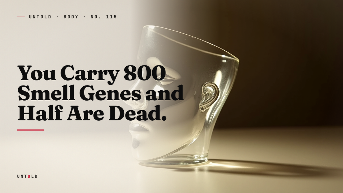 The Ruin That Wasn't: How Science Slandered the Human Nose